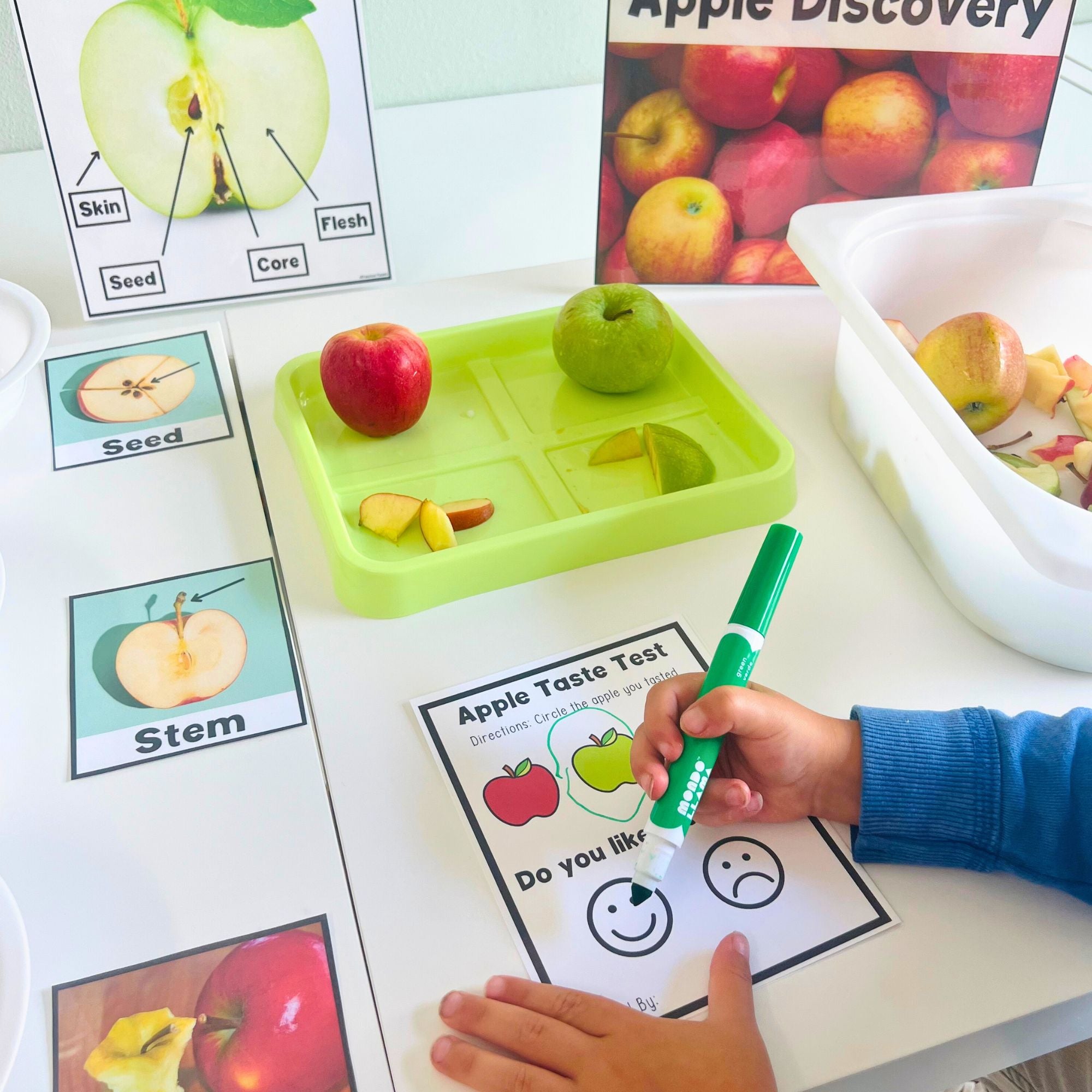 Preschool Apple Theme Activities - Pre-K Printable Fun