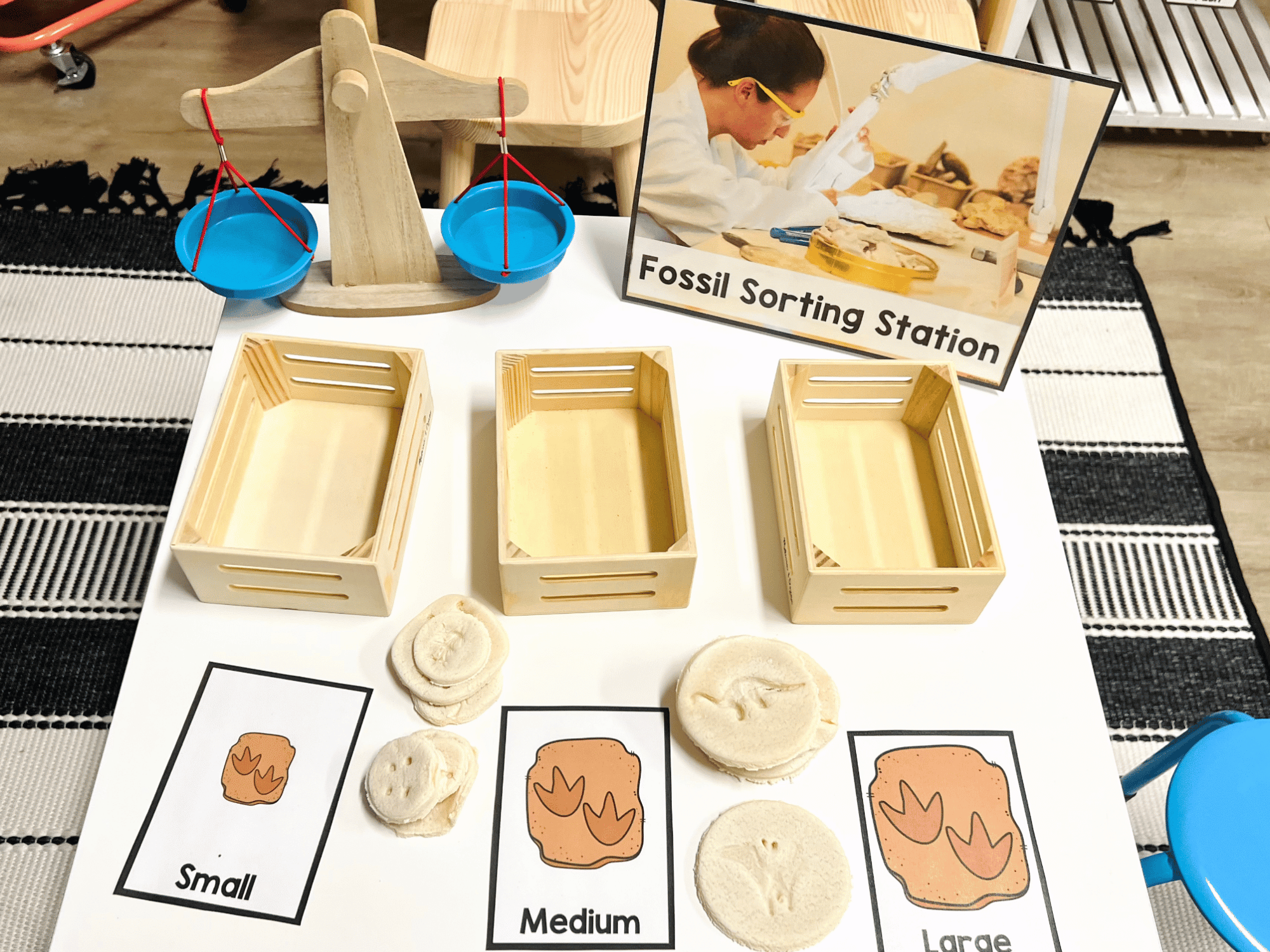 Setting up a Dinosaur Dig Dramatic Play