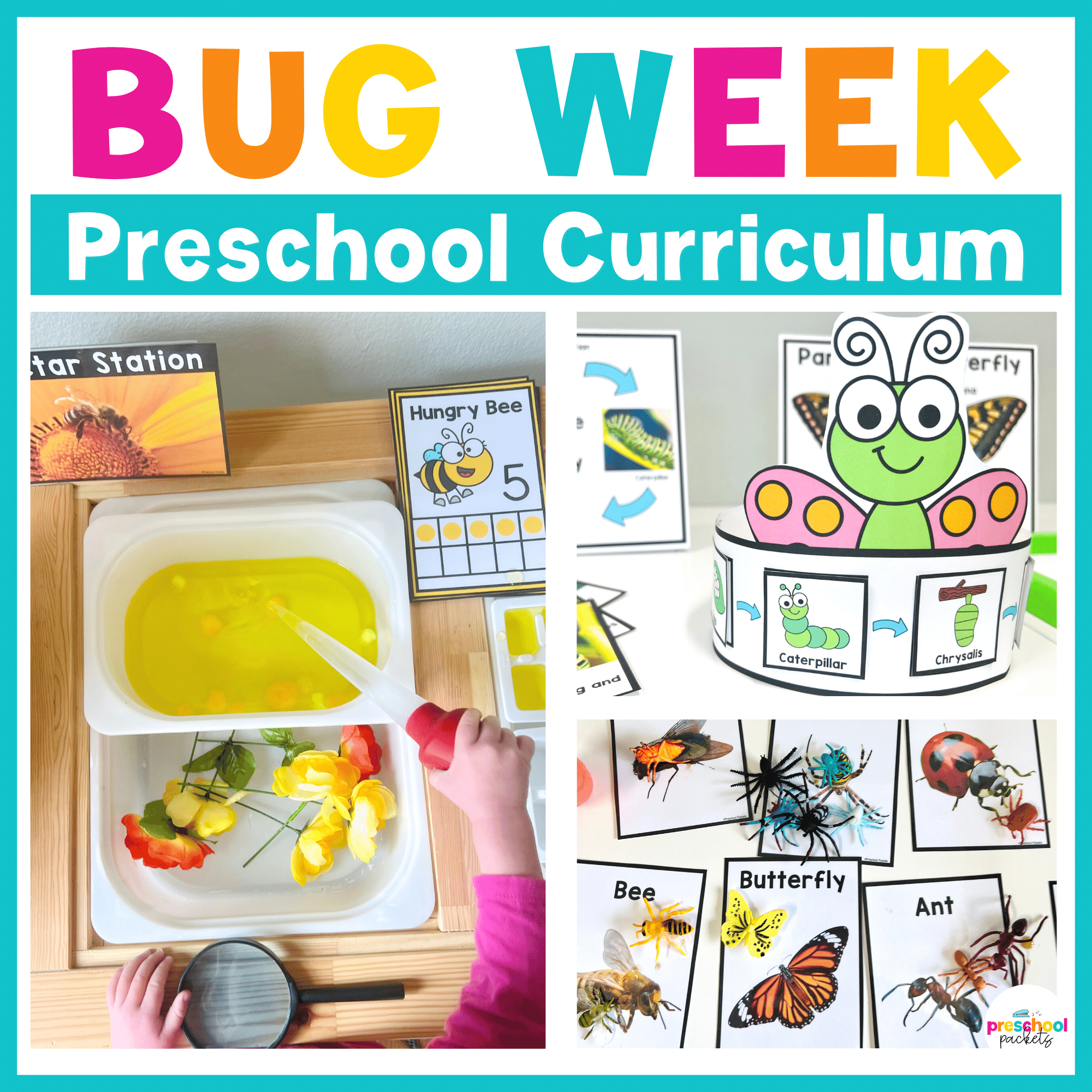 Bugs And Insects Activities Preschool Weekly Themed Curriculum Preschool Packets