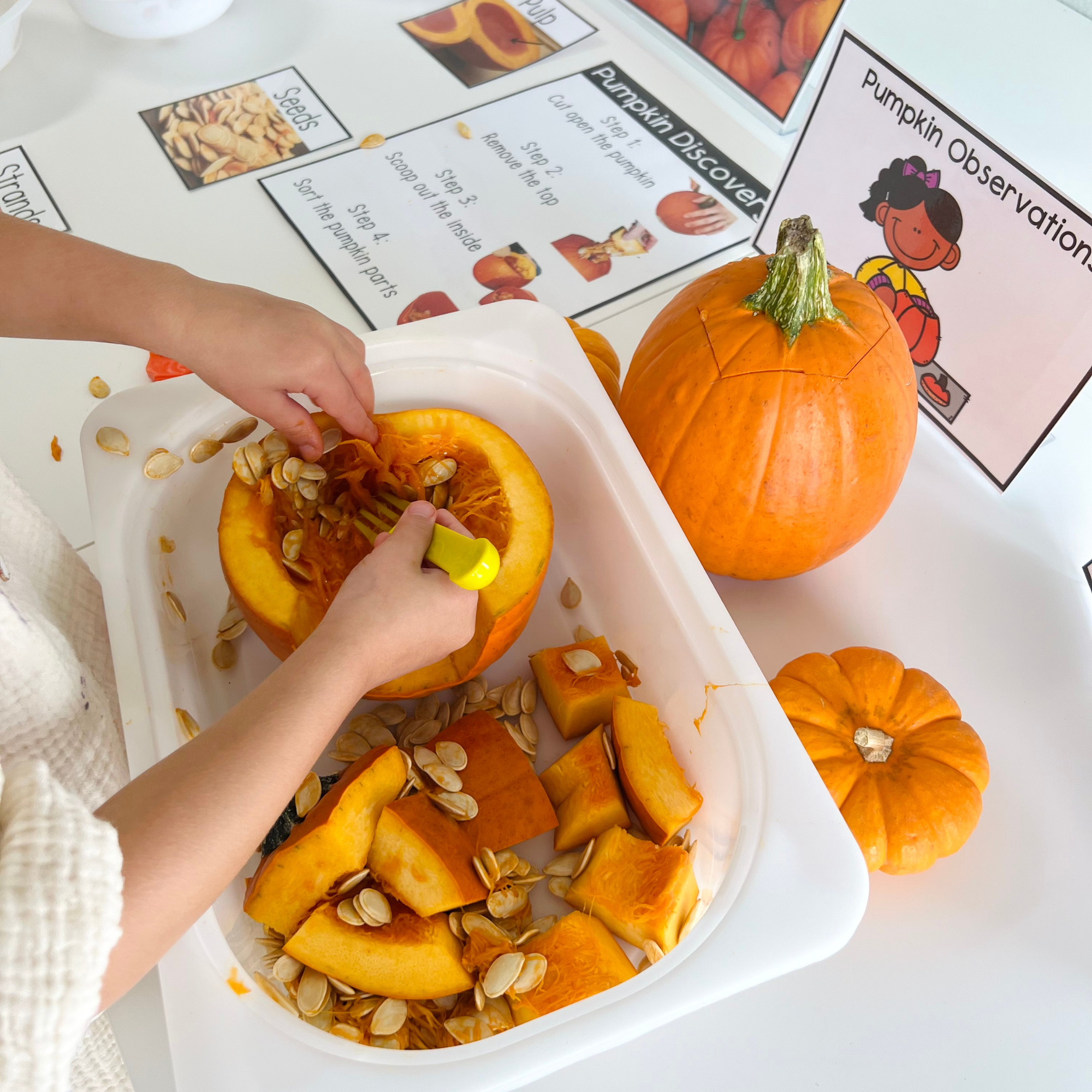 Pumpkin Discovery: Preschool STEM Center and Pumpkin Life Cycle Craft