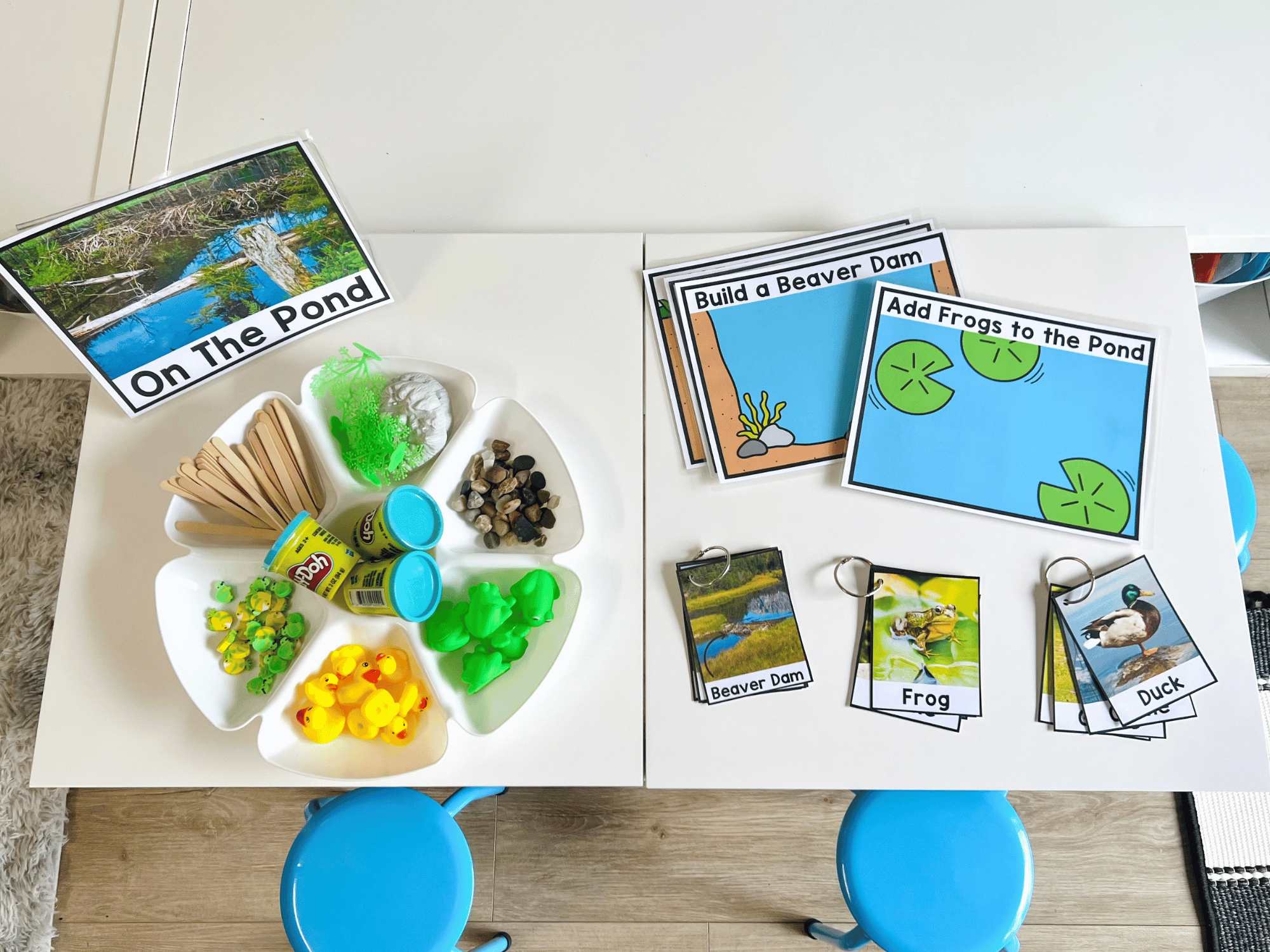 Pond Life Pre-K Center Ideas