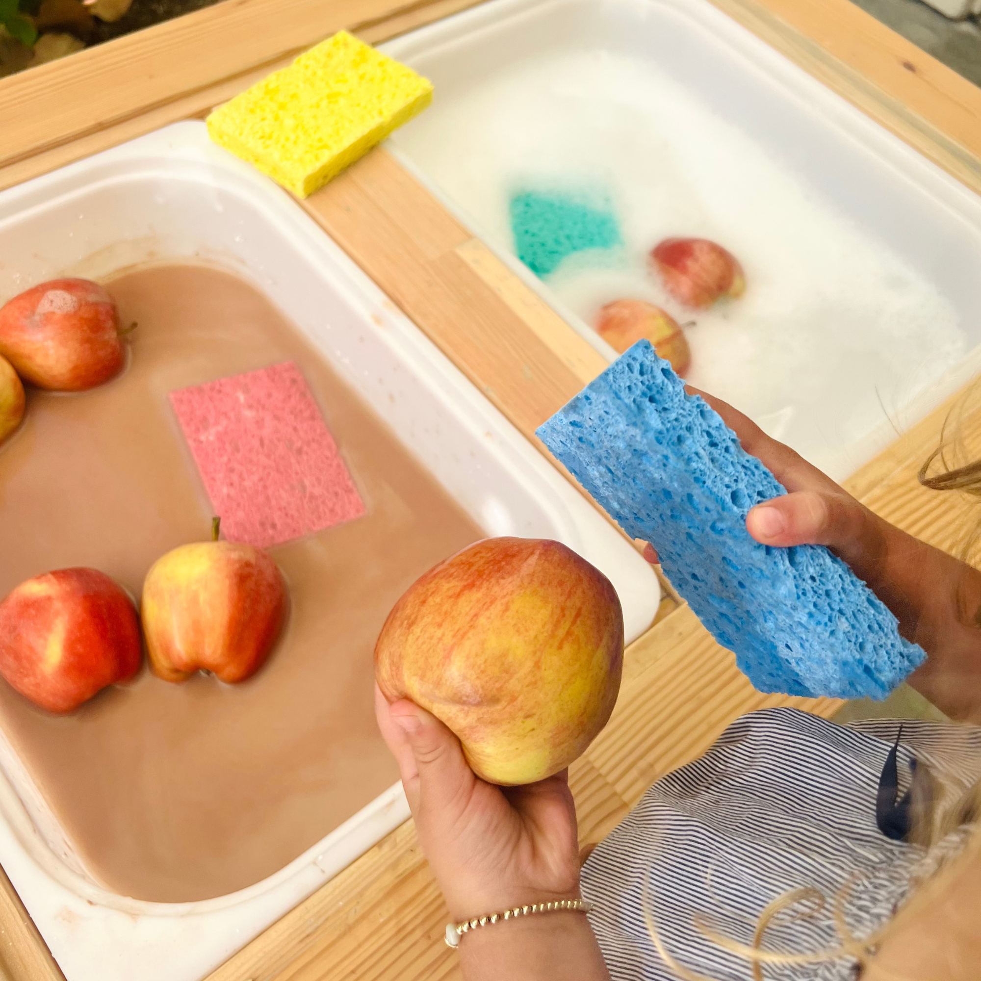 5 Sensory Bins Ideas for Fall With an Apple Theme for Your Preschool Classroom