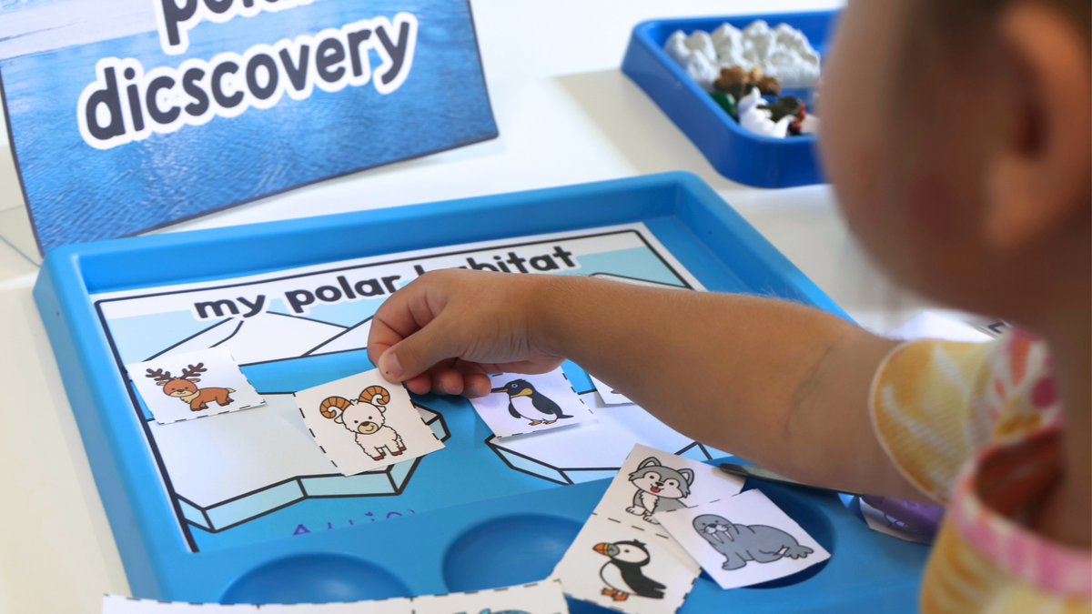 A Week of Polar Animal Activities in My Preschool Classroom