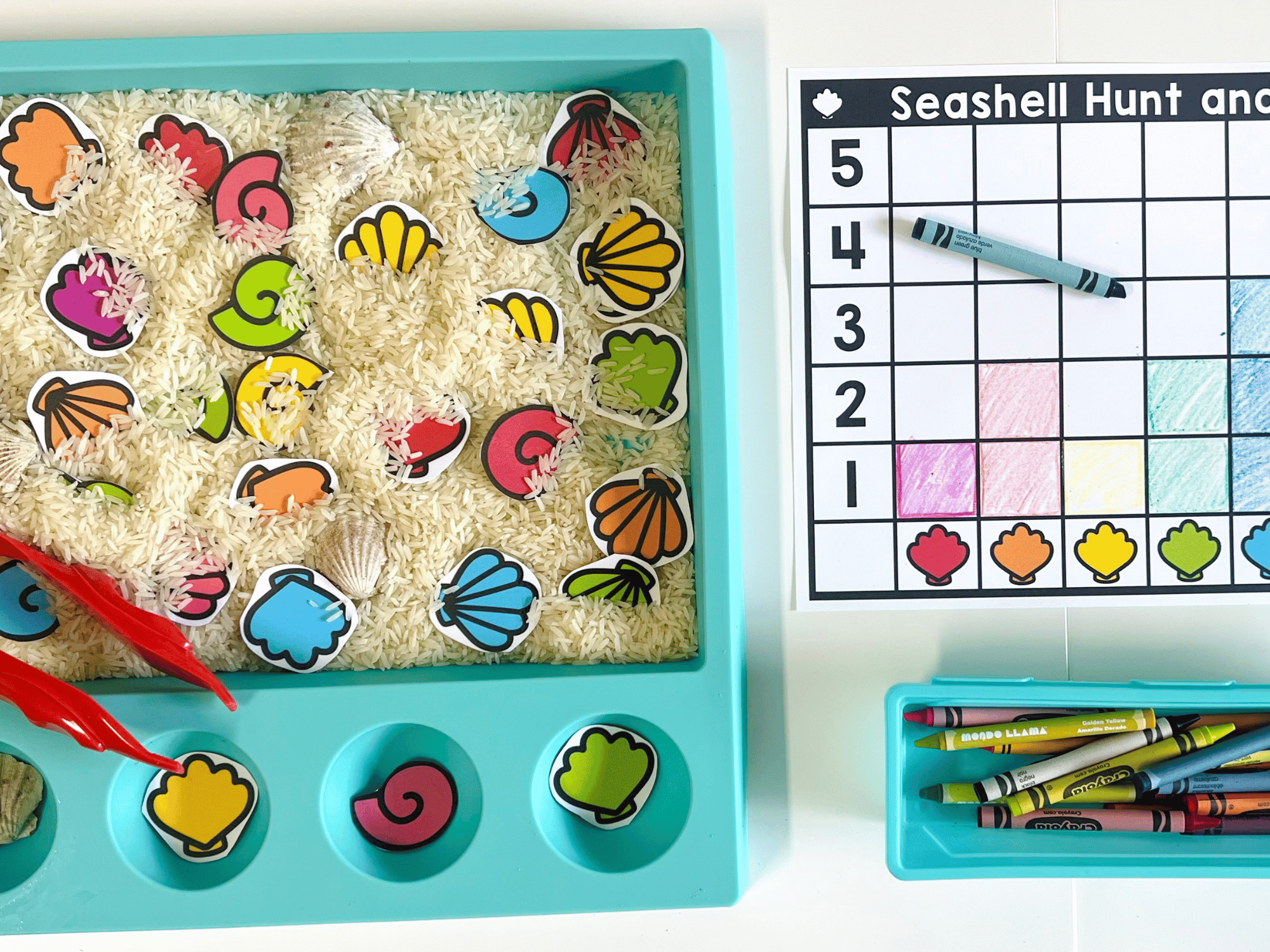 Preschool Seashell Activities