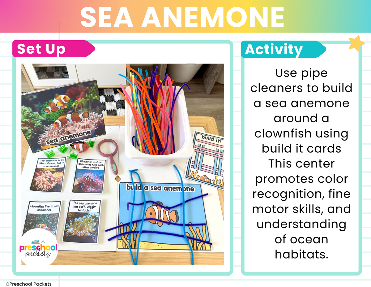Ocean Habitats Preschool Centers | Ocean Animals Activities Preschool & Kinder