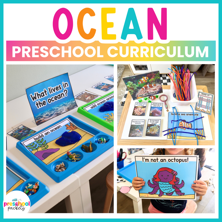 Ocean Habitats Preschool Centers | Ocean Animals Activities Preschool & Kinder