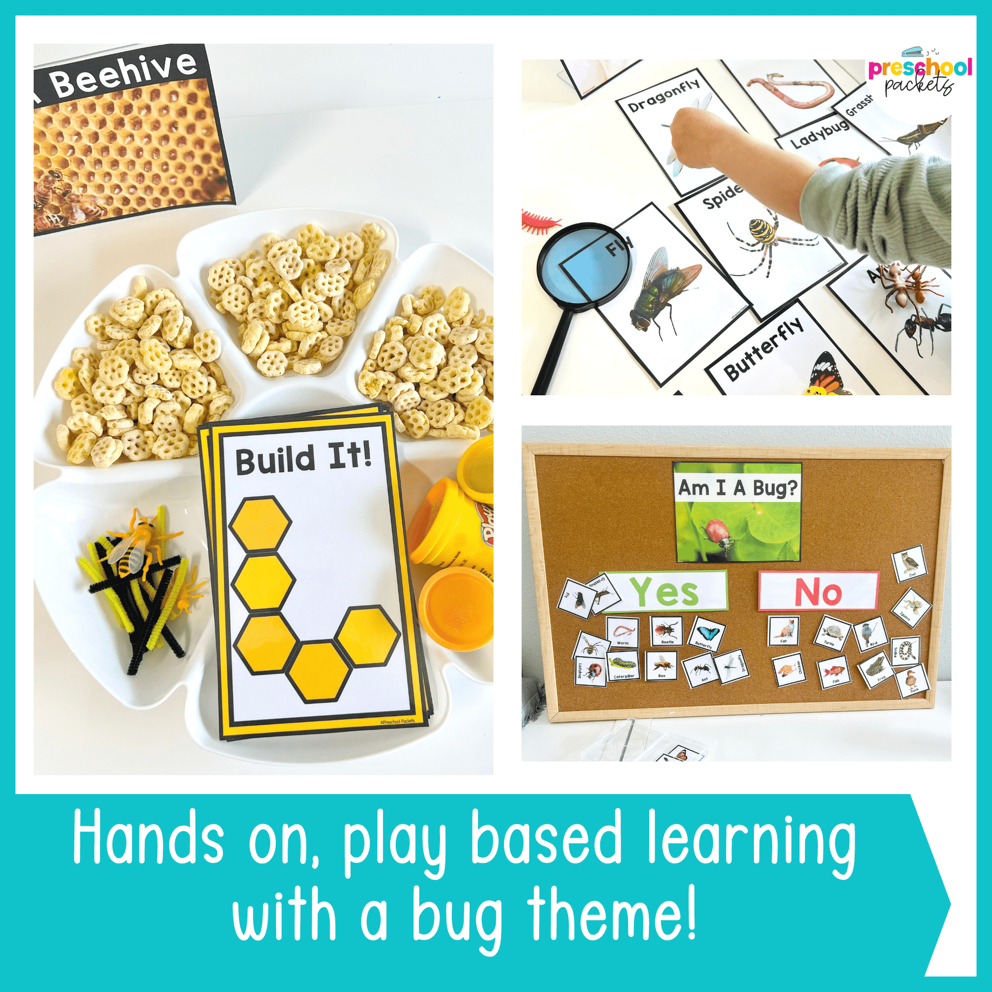 Insects Packet Bugs and Insects Activities Preschool Weekly Themed Curriculum ...