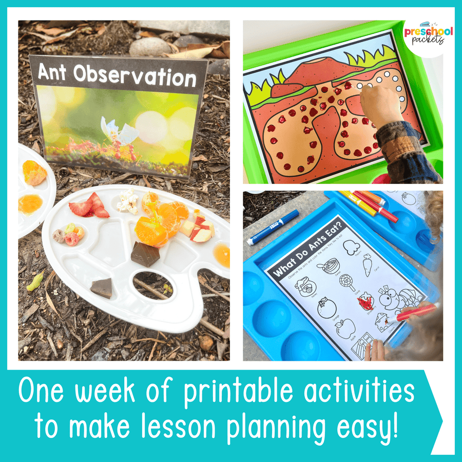 Insect Week Printable Bugs and Insects Activities Preschool Weekly Themed Curriculum ...