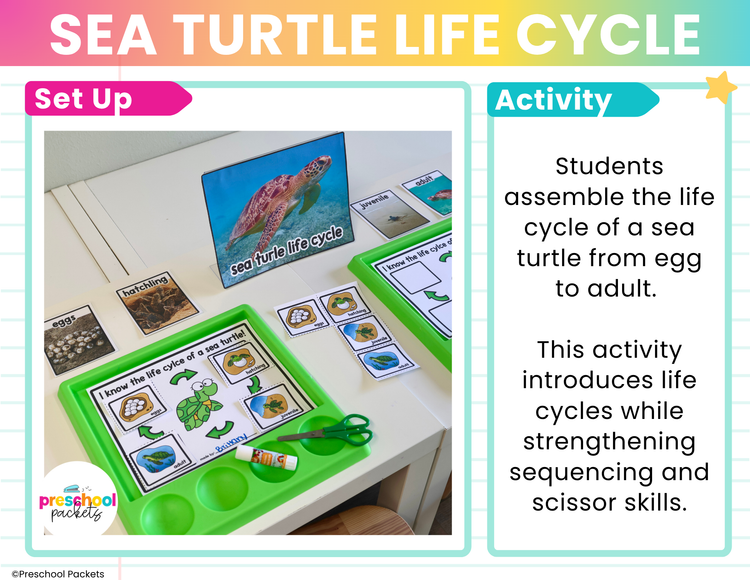 Ocean Habitats Preschool Centers | Ocean Animals Activities Preschool & Kinder