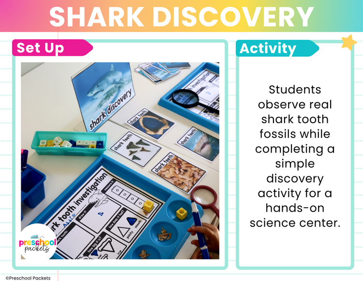 Ocean Habitats Preschool Centers | Ocean Animals Activities Preschool & Kinder