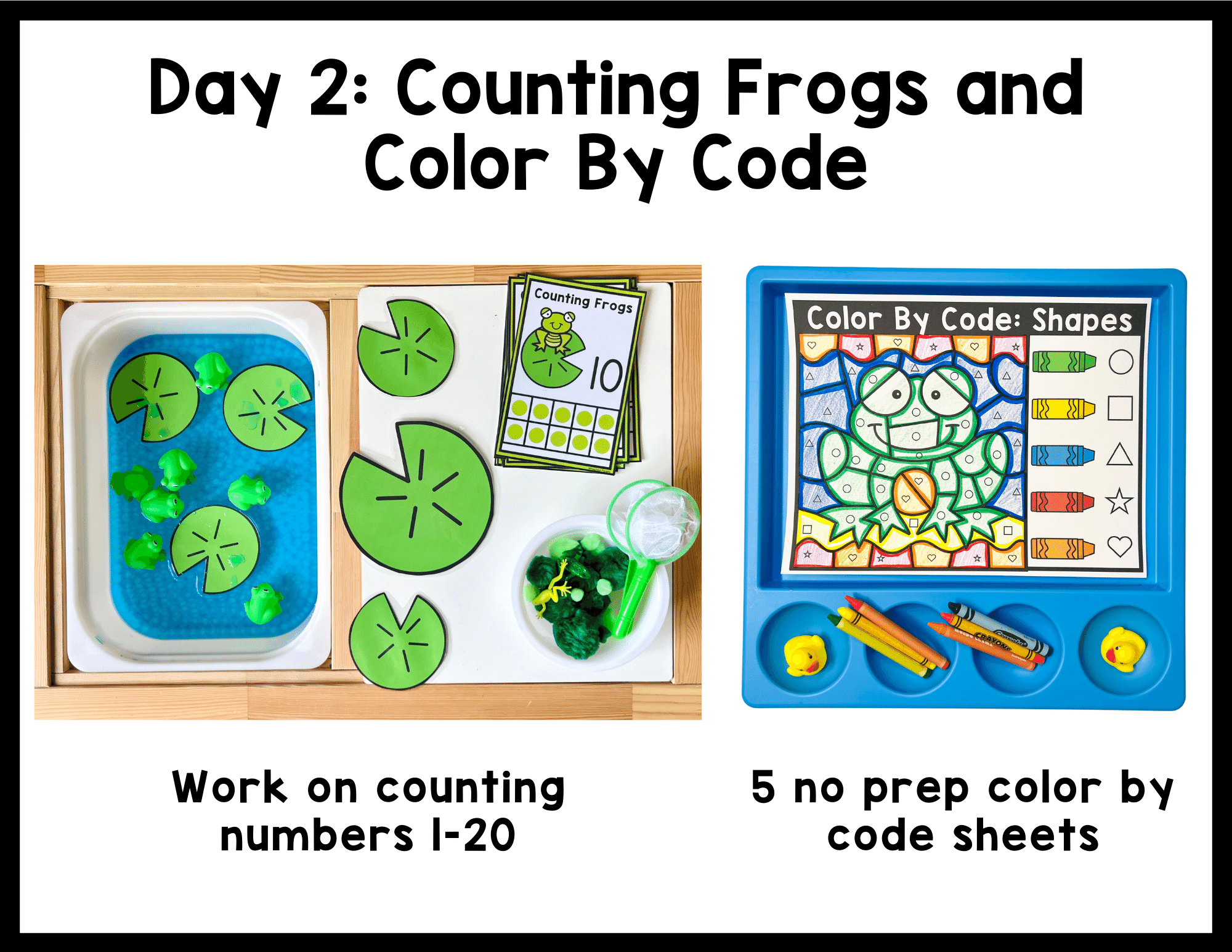 Frog in a Pond - Color by Numbers